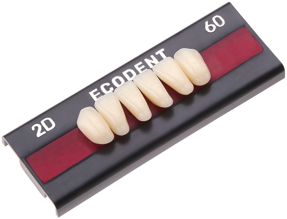 TABLILLA DE DIENTES ECODENT - COLOR: A1