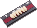 TABLILLA DE DIENTES ECODENT - COLOR: B3
