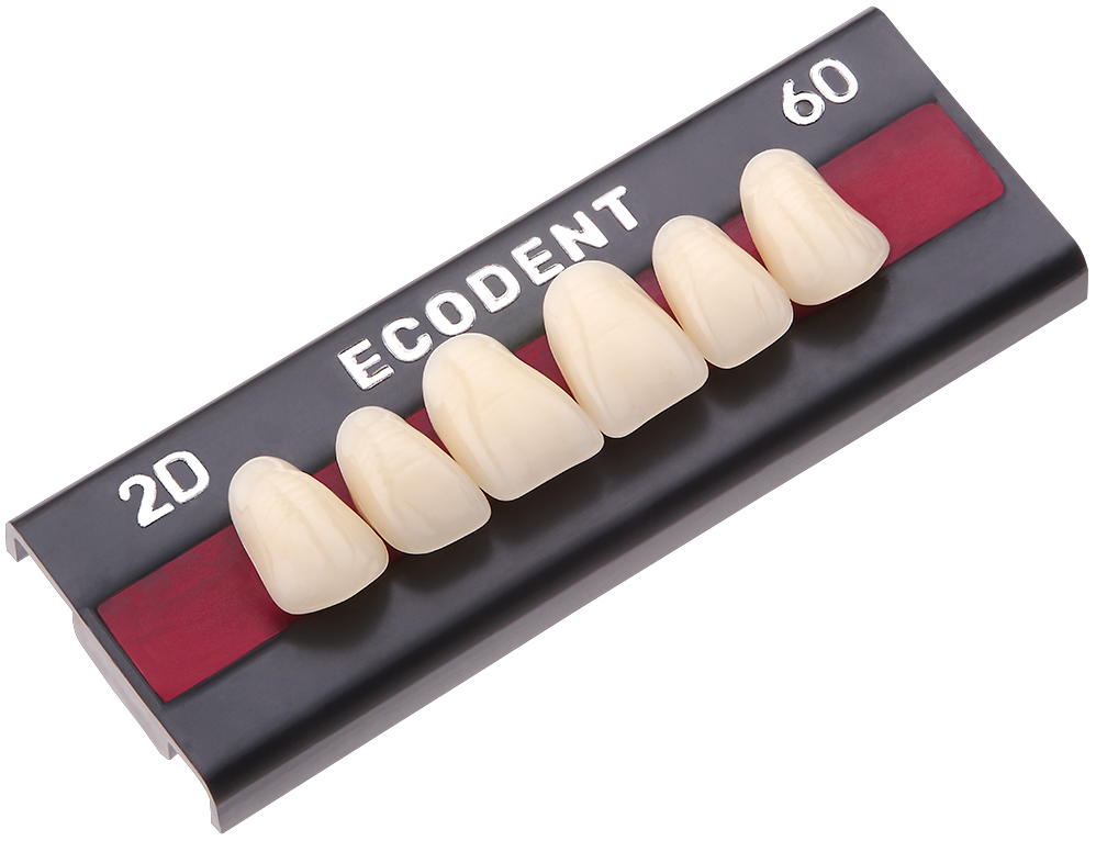 TABLILLA DE DIENTES ECODENT - COLOR: B3