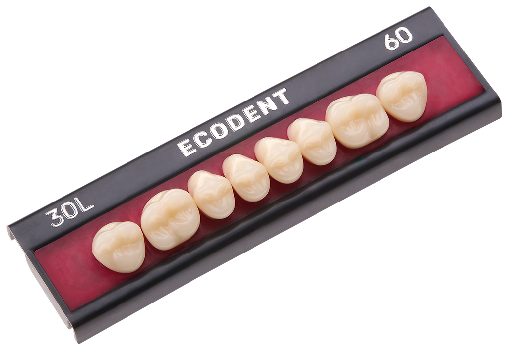 TABLILLA DE DIENTES ECODENT - COLOR: B3