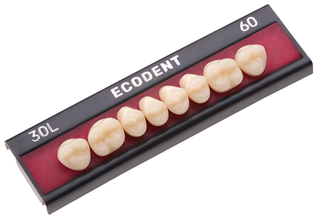 TABLILLA DE DIENTES ECODENT - COLOR: B1