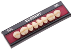 TABLILLA DE DIENTES ECODENT - COLOR: A1