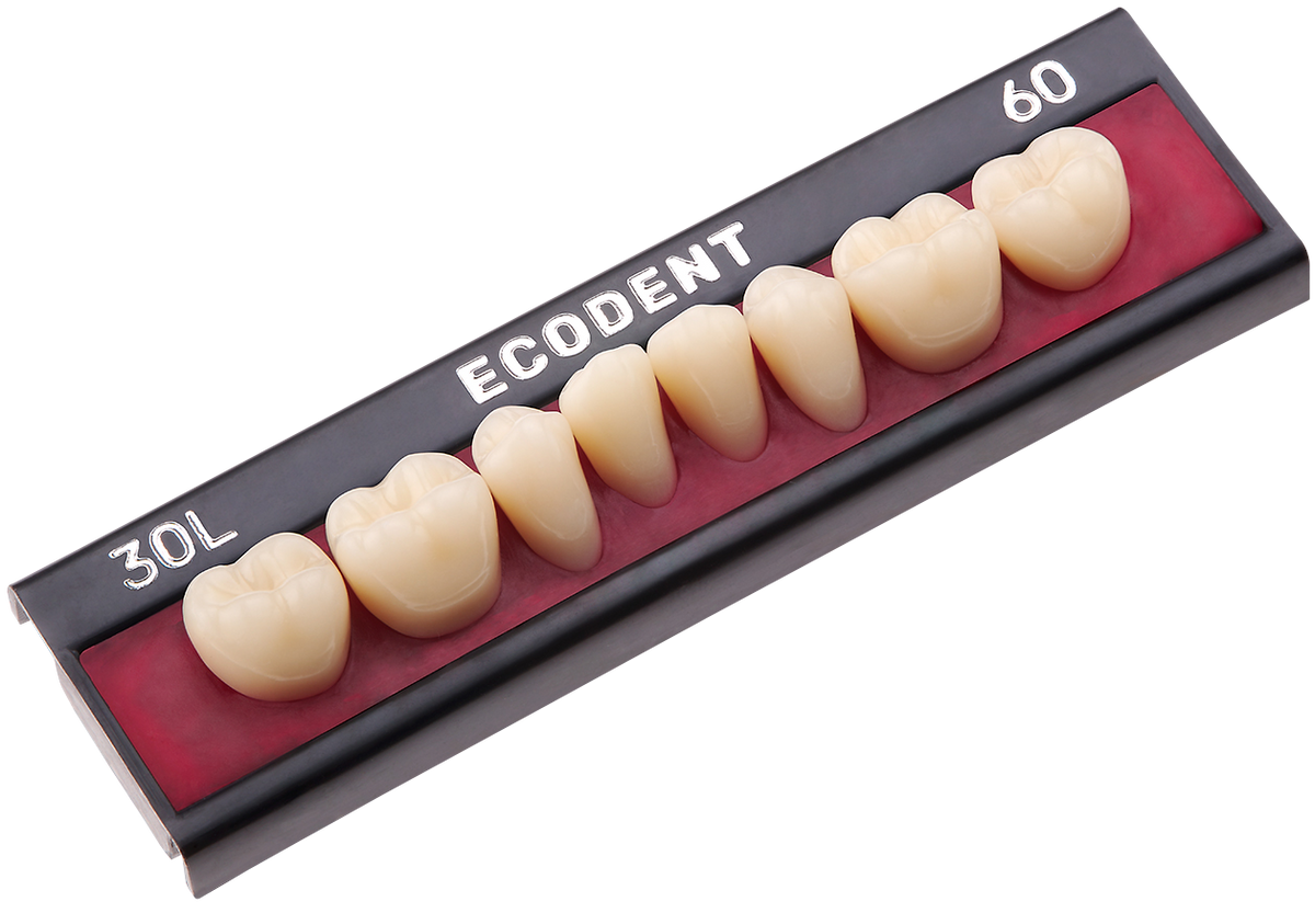 TABLILLA DE DIENTES ECODENT - COLOR: B3