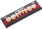 TABLILLA DE DIENTES ECODENT - COLOR: C2