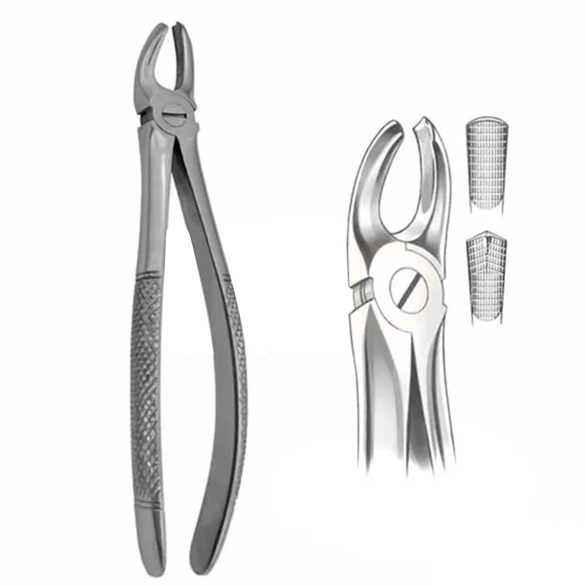 FORCEP #17 INGLES DERECHO