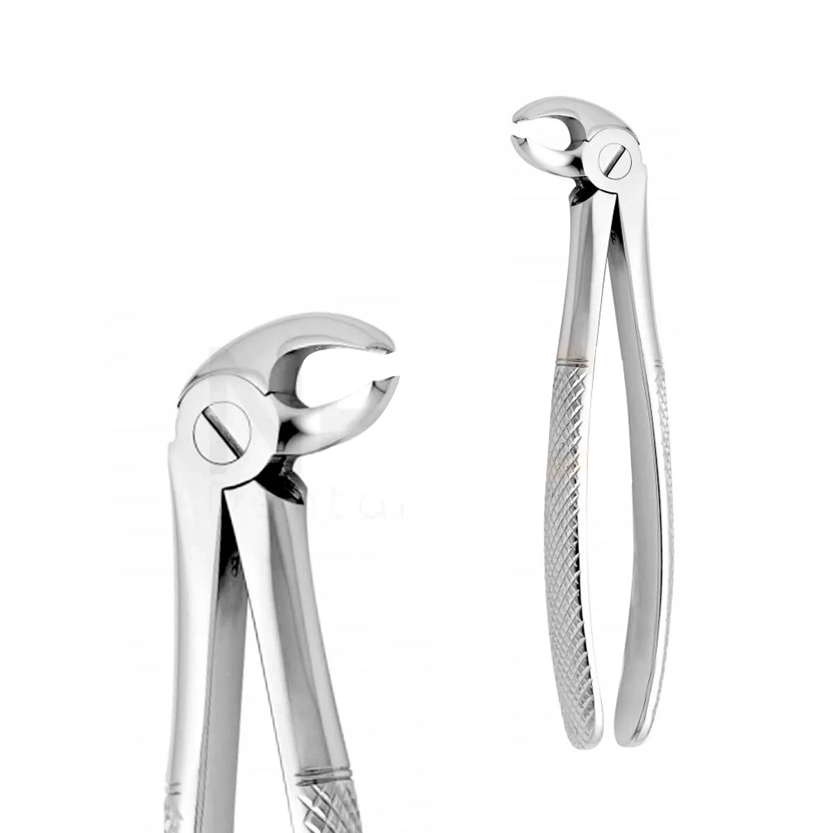 FORCEP PICO DE LORO