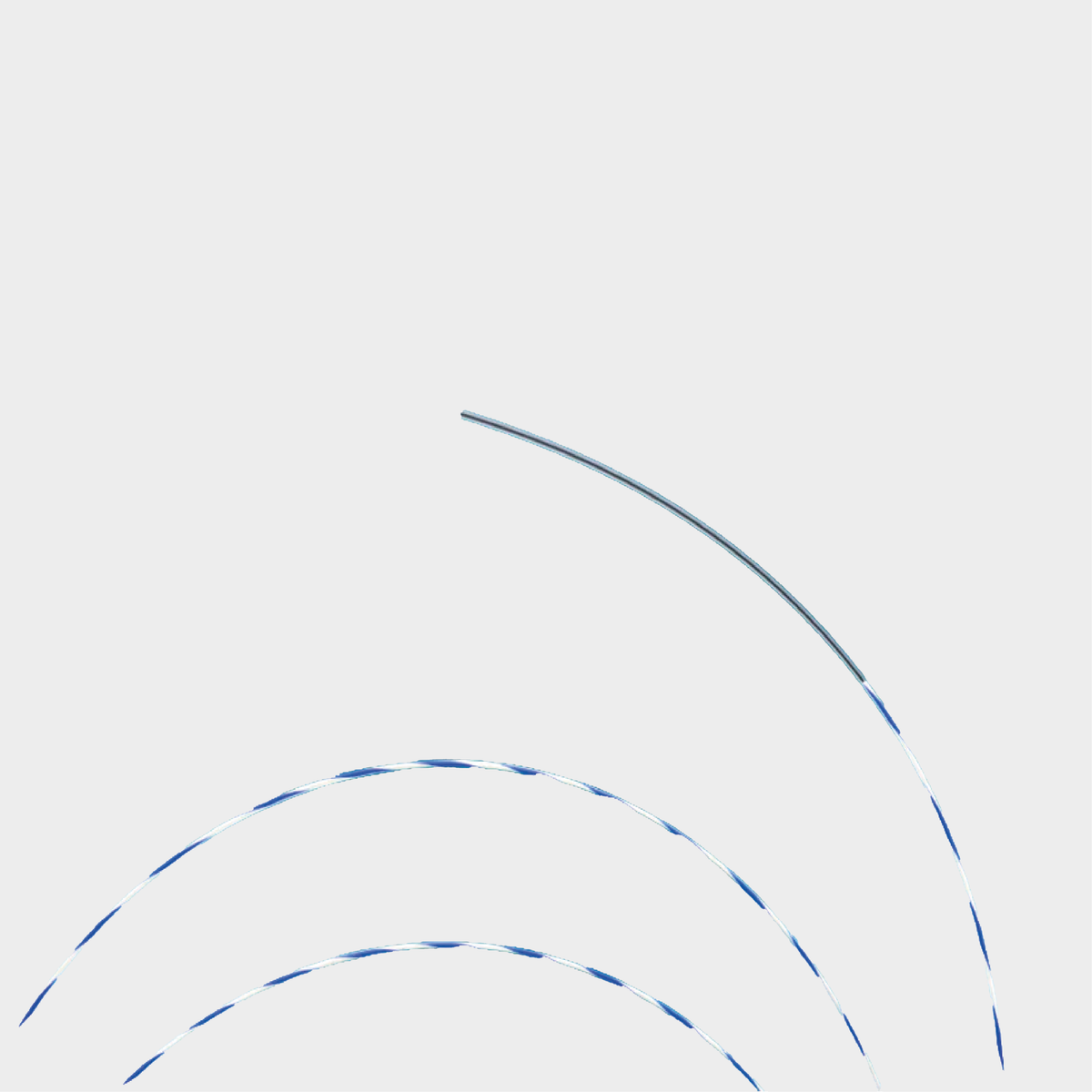 Guia20de20Nitinol20Zebrada2000.png
