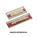 DIENTES TRILUX V POST INF M2I, C2