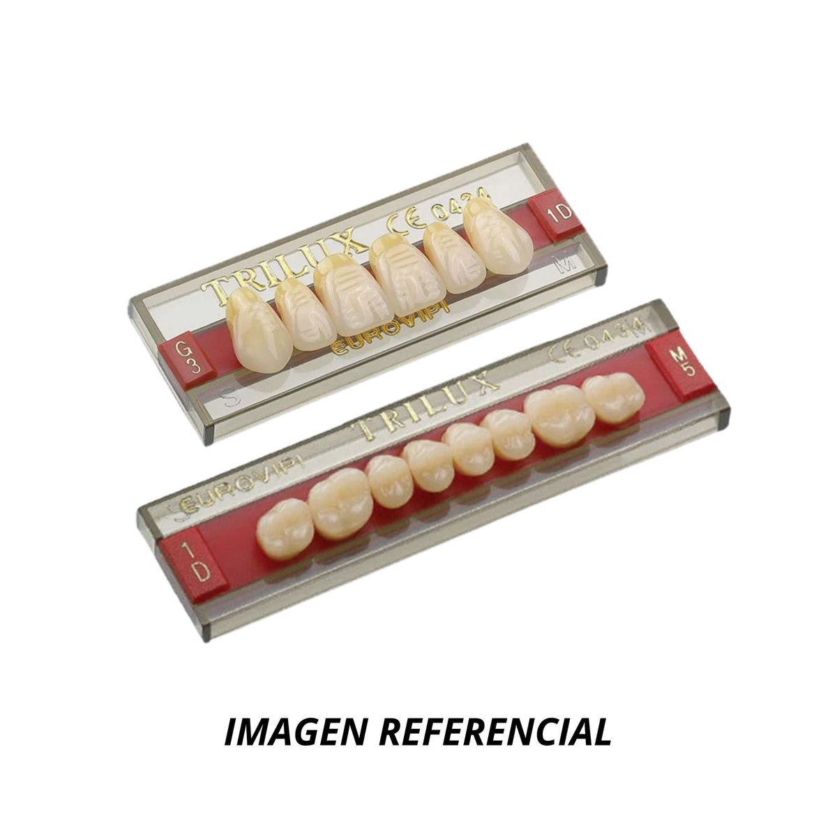 DIENTES TRILUX V POST INF M2I, C2