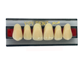 Tableta Diente Vipi V Anterior Superior 3PS - DENTSPLY