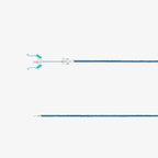 Indrive2001.png