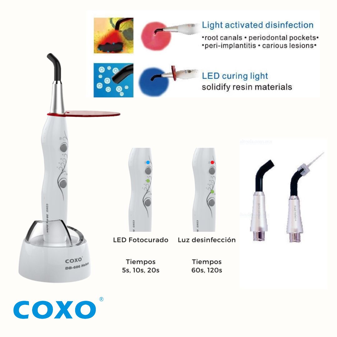 Coxo Z&H – Lámpara LED Fotocurado