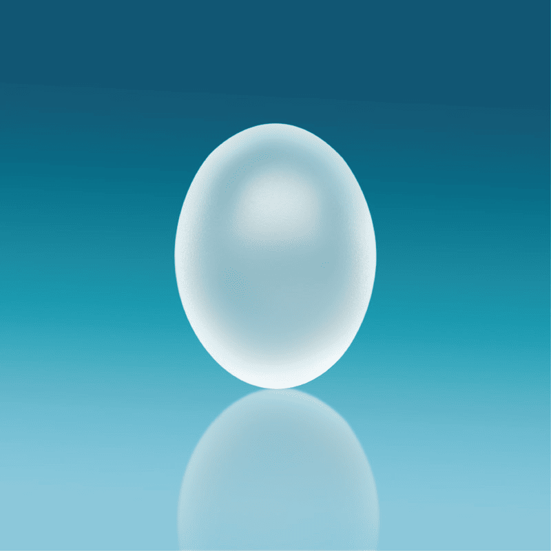 NS2002.png