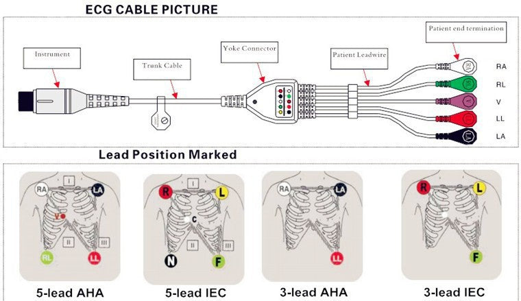 Sensor ECG