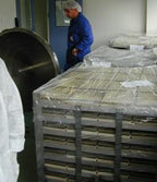 Anestesia Septanest al 4% 1:200.000