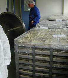 Anestesia Septanest al 4% 1:200.000