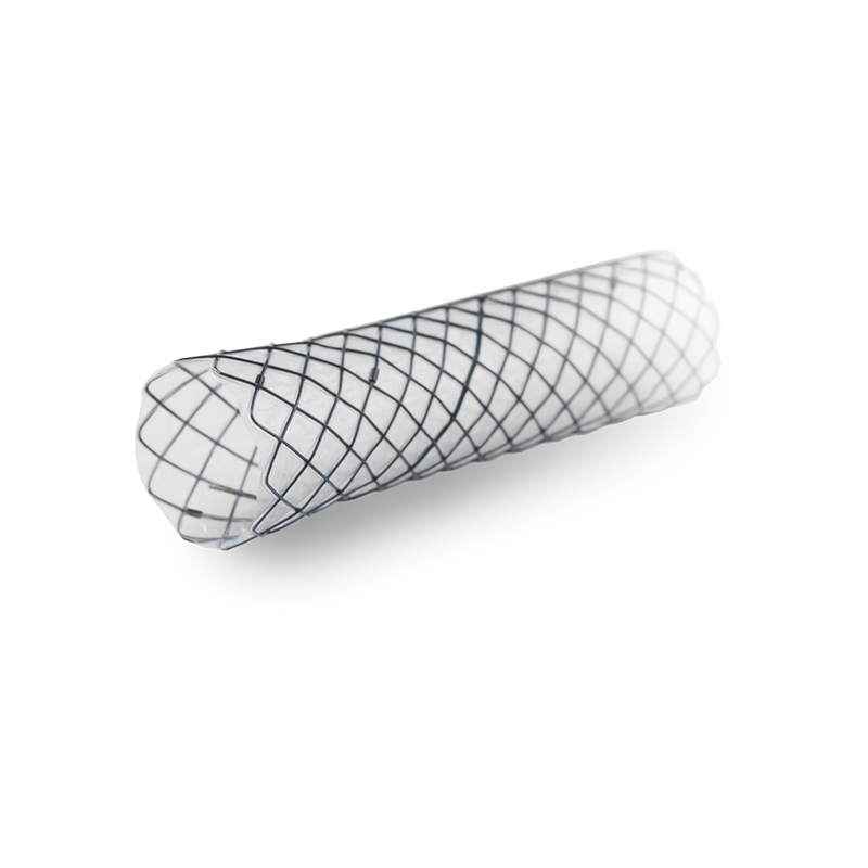 Stent20Biliar20Recubierto.png