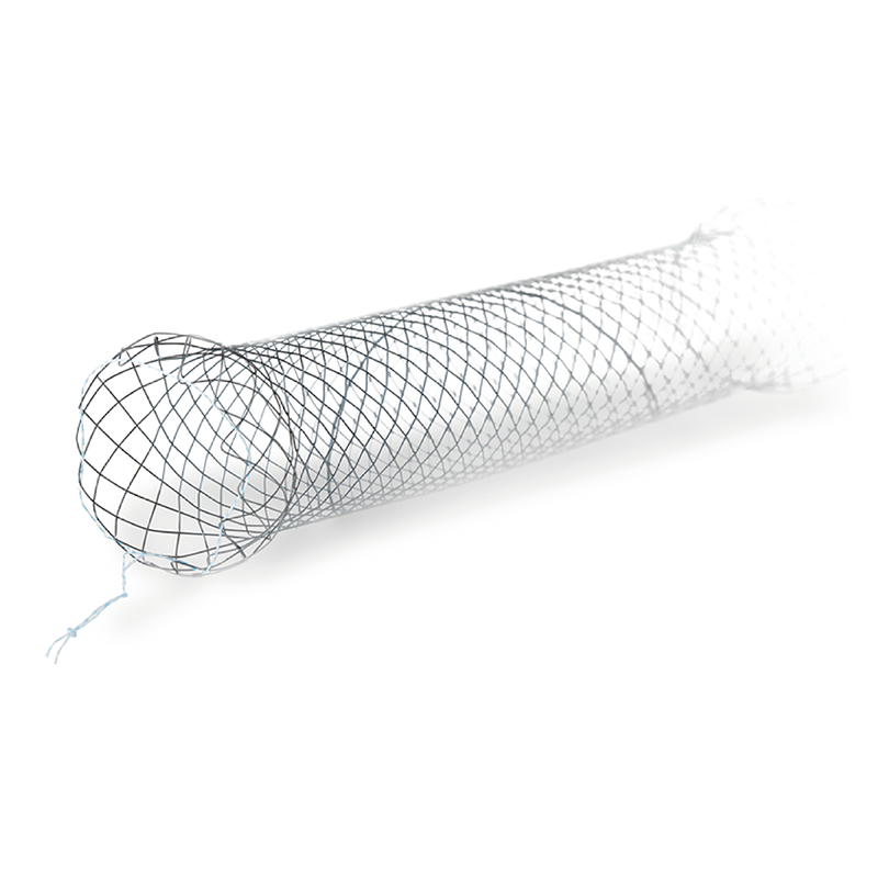 Stent20Colonico20y20Rectal20sin20recubrimiento.png