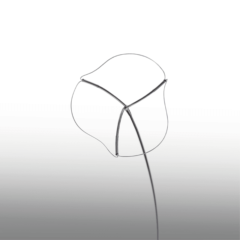 Stratone20Frontal2004.png