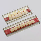 TABLILLA DE DIENTES TRILUX V - COLOR: C2