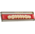 TABLILLA DE DIENTES TRILUX V - COLOR: C2