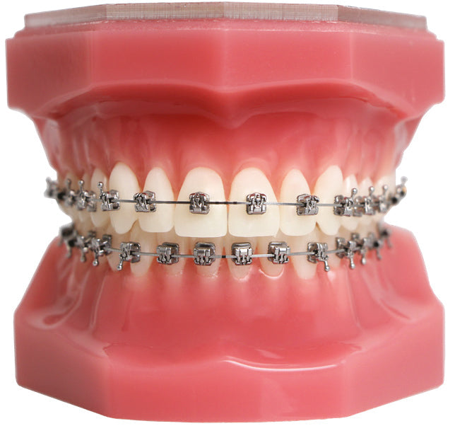 MODELO - TYPODONTO H4