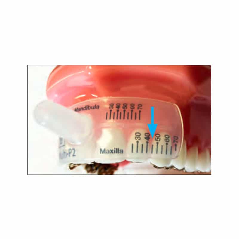 Regla Multi P | Multifamily