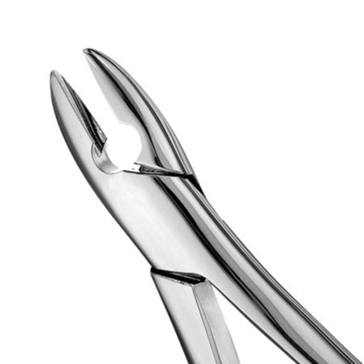 FORCEP # 1 RECTO ANTERIOR GRUESO SUPERIOR1