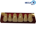 DIENTE MARCHE ANTERIOR SUPERIOR COLOR 454