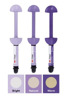 Composite Easy Match Bright - 3M2