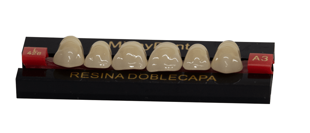 Dientes acrílicos 2 capas - Michydent2