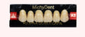 Dientes acrílicos 2 capas - Michydent1