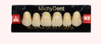 Dientes acrílicos 2 capas - Michydent1