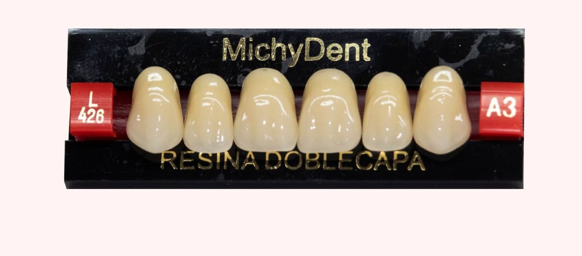 Dientes acrílicos 2 capas - Michydent1