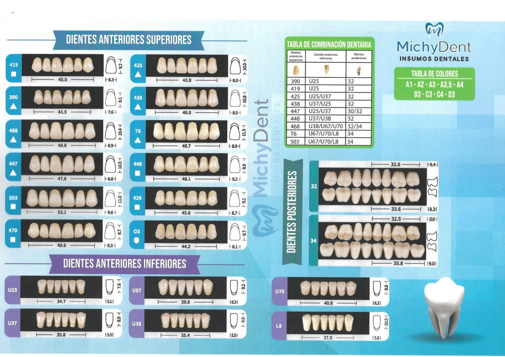 Dientes acrílicos 2 capas - Michydent5