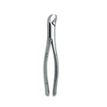 FORCEP NIÑO # 23 SK CUERNO VACA1