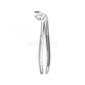 FORCEP # 33 CURVO S/BORDE MEDIO1