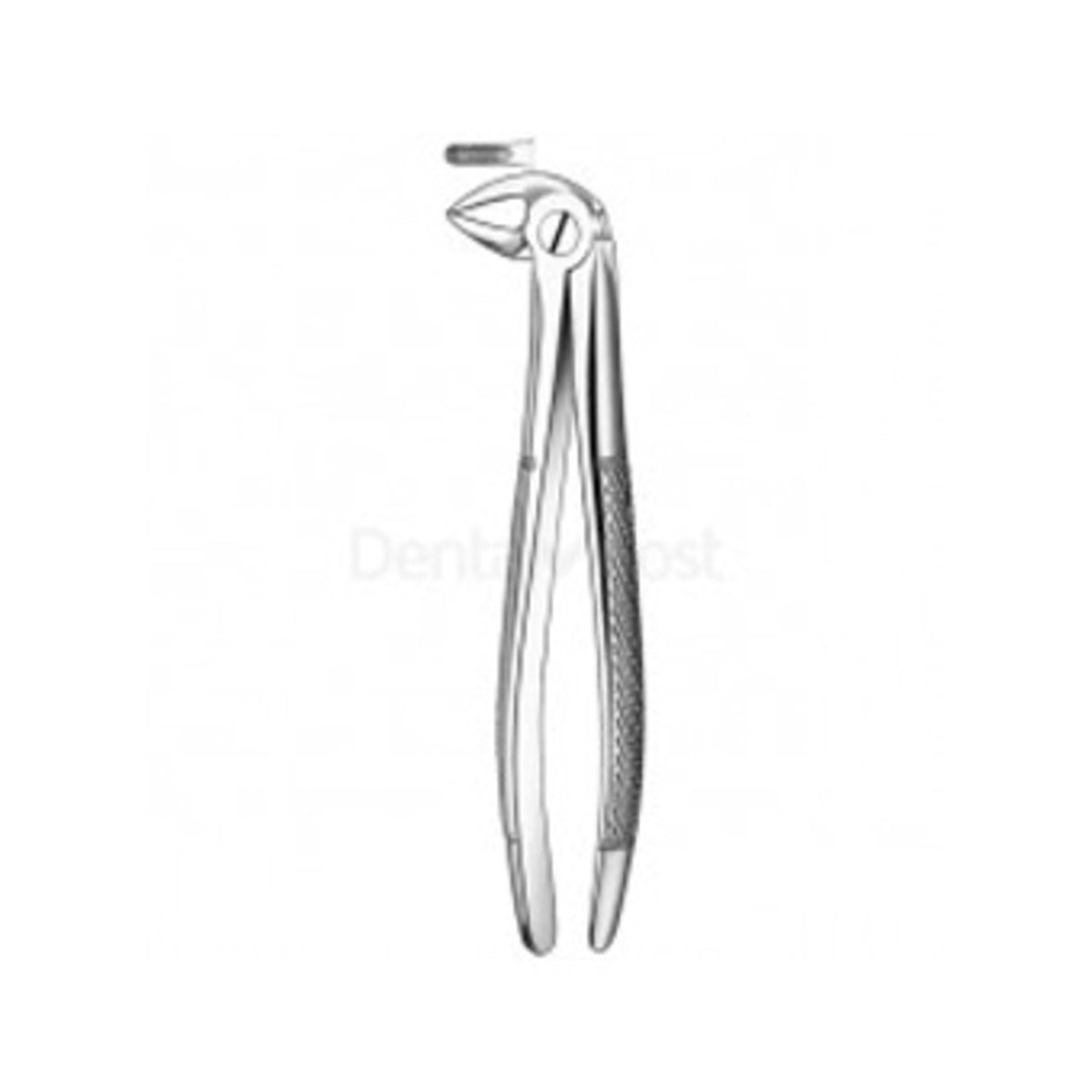 FORCEP # 33 CURVO S/BORDE MEDIO1
