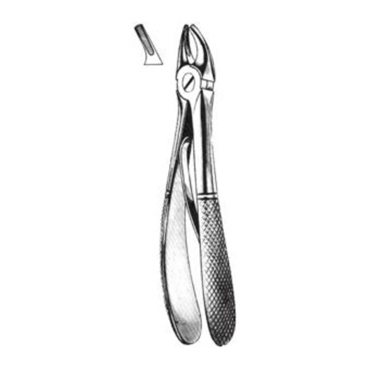 FORCEP NIÑO # 561 INGLES1