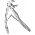 FORCEP NIÑO # 565 CURVO S/BORDE MEDIANO PICOLORO1