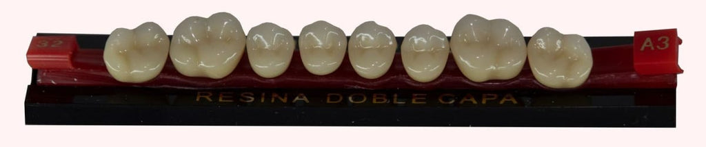 Dientes acrílicos 2 capas - Michydent3
