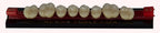 Dientes acrílicos 2 capas - Michydent3
