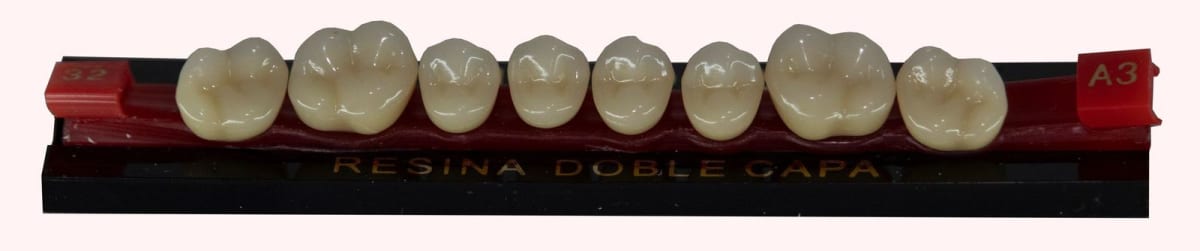 Dientes acrílicos 2 capas - Michydent3