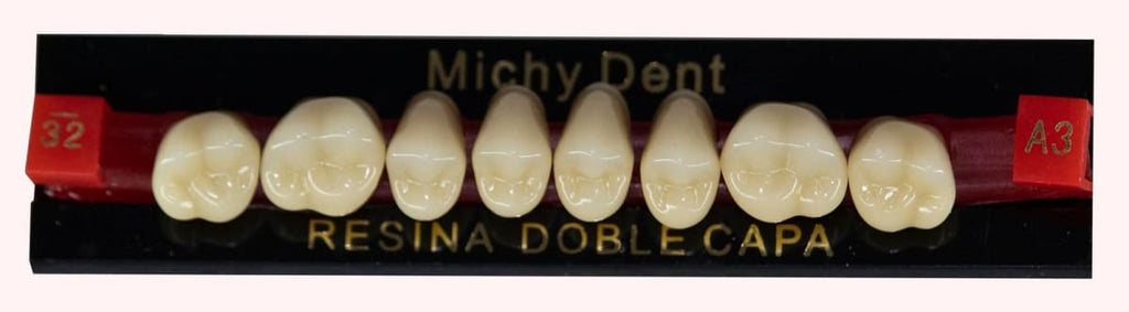Dientes acrílicos 2 capas - Michydent4