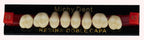 Dientes acrílicos 2 capas - Michydent4