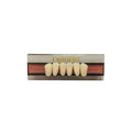 Diente Duodent V Anterior Inferior K12I Tableta