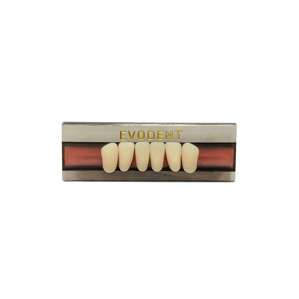 Diente Duodent V Anterior Inferior L10 I Tableta - EVODEN