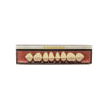 Diente Duodent V Posterior Superior M3 S Tableta A3,5 - EVODEN