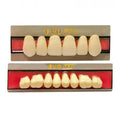 Diente Duodent V Posterior Inferior M3 I Tableta A3,5  - EVODEN