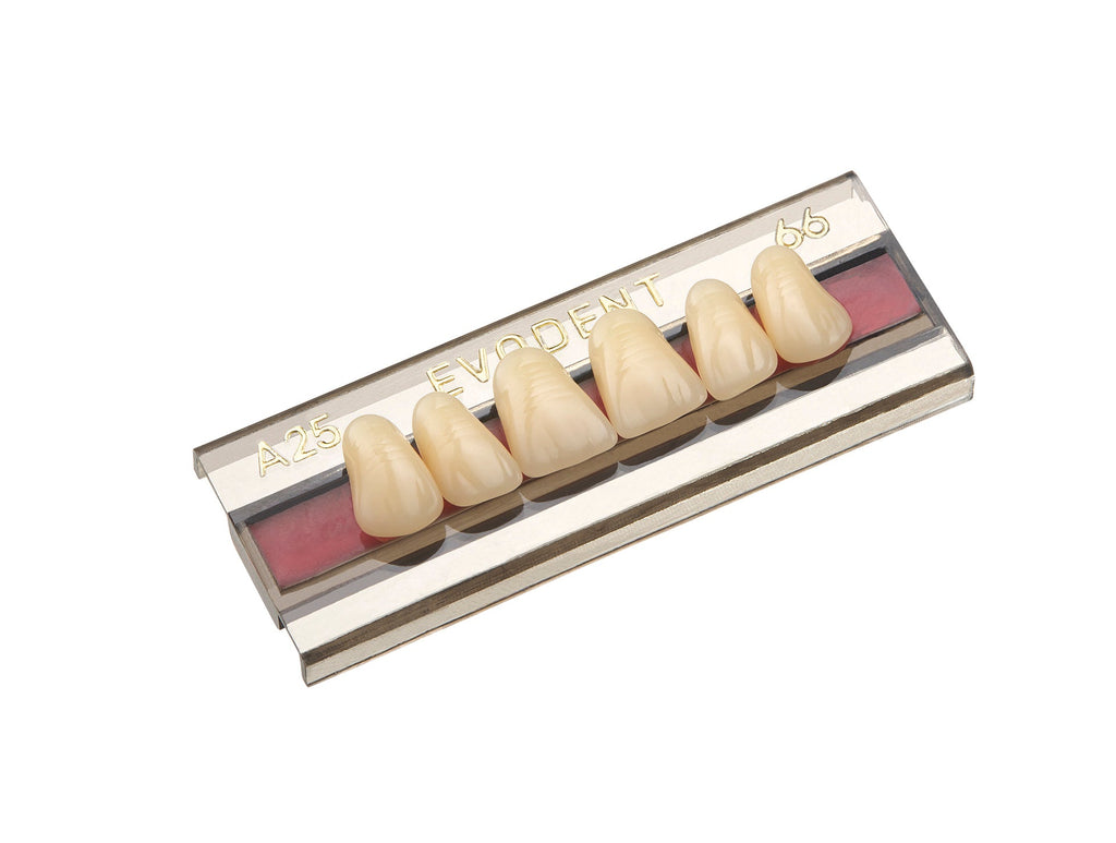 TABLILLA DE DIENTES EVODEN - COLOR: A3